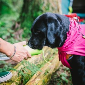 Dog Coats Small Waterproof,Warm Outfit Clothes Dog Jackets Small,Adjustable Drawstring Warm And Cozy Dog Sport Vest-(pink, size M)